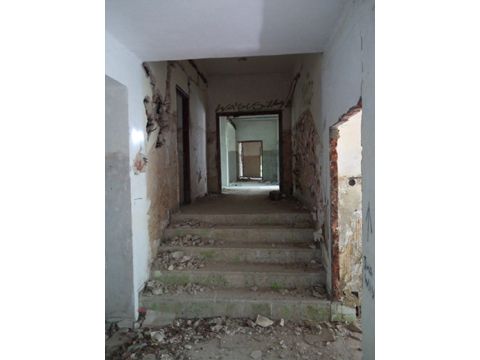 Foto 421